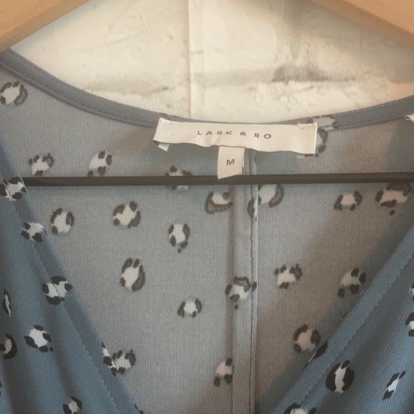 Lark & Ro Blue Cheetah dress - Picture 5 of 5